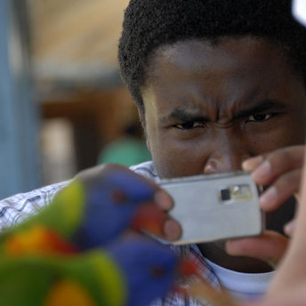 An attendee of the Community Prophets workshop taking a photo of a Rosella.